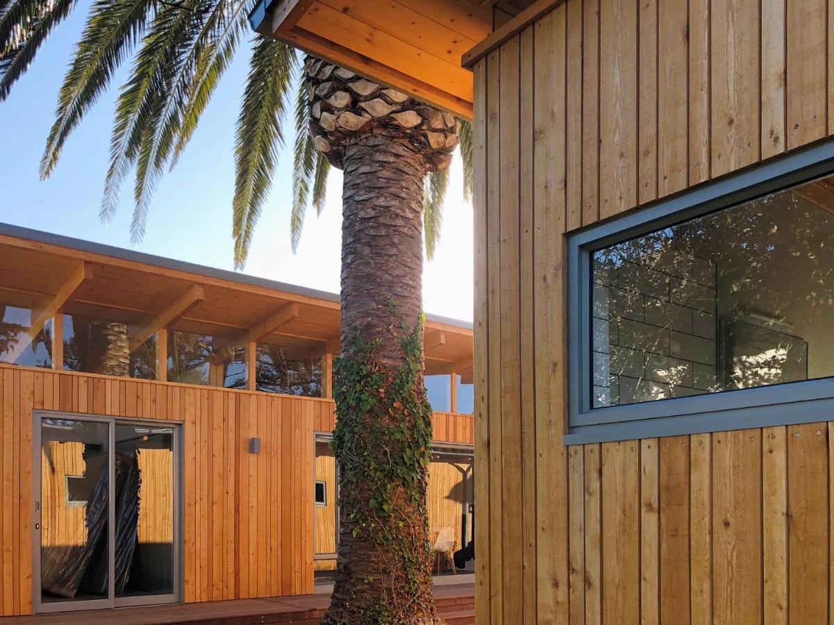 Palm And Pine Cottage Cape Town Exterior photo
